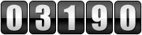 hit counter hit counter